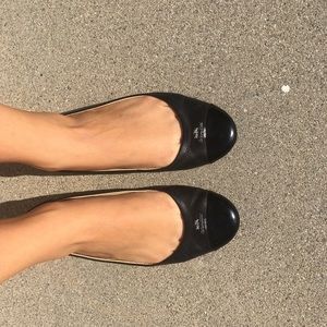 Coach shoes